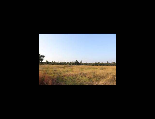 11HA VACANT LAND FOR SALE IN TENACRE AH
